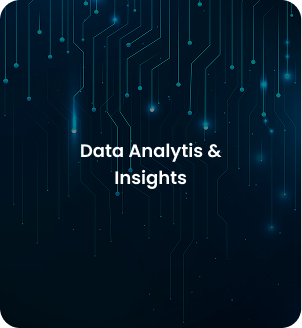 Data Analytics & Insights